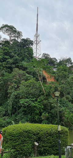 Bukit Batok Nature Park Playground - Thumbnail