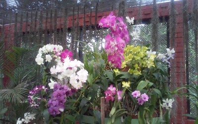 Photos of Orchid House
