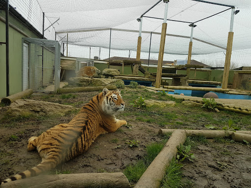 Lincolnshire Wildlife Park Gallery - United States