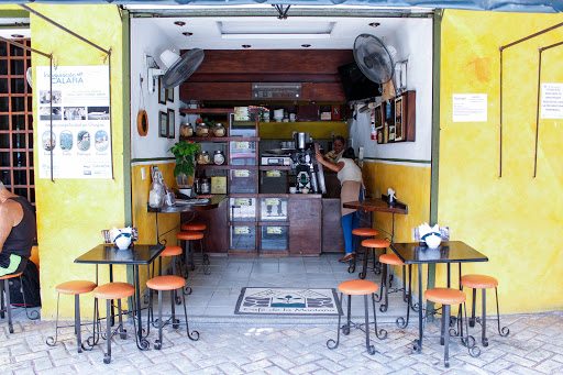 Café Te'el - Visual