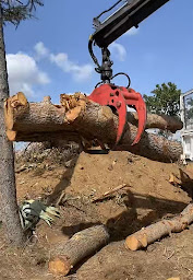 Photo n°7 de ARCHIPEL TP à Agde (Entreprise de VRD)