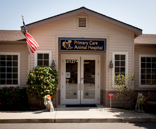 Primary Care Animal Hospital
