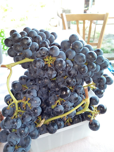 Vin De Bordeaux