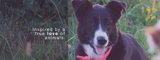 KW Mobile Veterinary Services