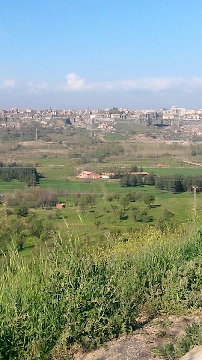 Photos of Dicle &Uuml;nv. Tıp Fk. Sağlık Ve Araştırma Hastanesi g&ouml;z doktorları