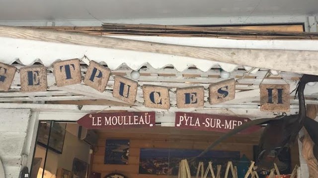 Zig et Puces II Le Moulleau