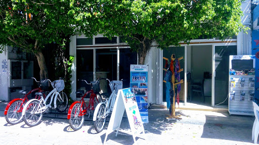 JoannaTours - Excursions a playa del carmen