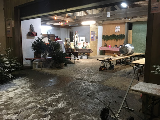 Christbam, Christbäume, Christbaum, Christbaumverkauf, Vachendorf Erlstätt Traunstein NEU Hüpfburgverleih - Thumbnail