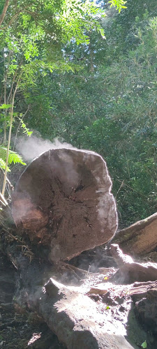 https://parquepicotoribio.weebly.com/