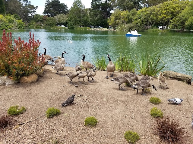 Golden Gate Park