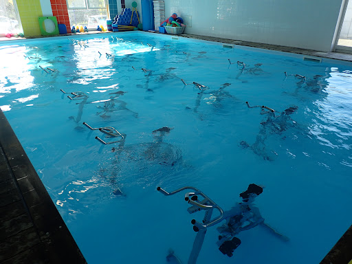 Photo de Piscine intercommunale de Saint-Martin d'Uriage à Vaulnaveys-le-Haut (38410)