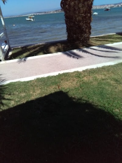 Photos of Hotel Erol