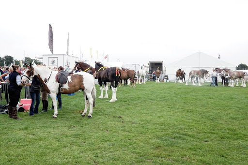 Driffield Agricultural Society - Thumbnail