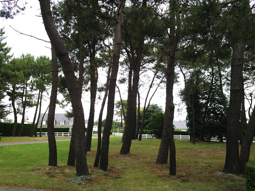 CPIE du Cotentin (Association Vivre en Cotentin) - Thumbnail
