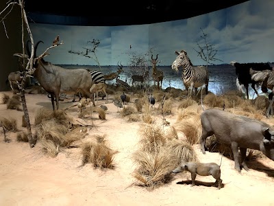 Anniston Museum of Natural History