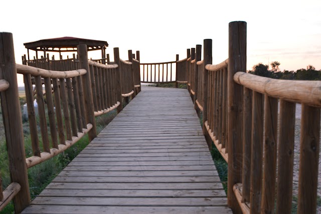 Mirador de la Ribera