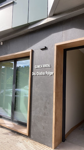 Clínica Dental Dra. Cristina Pulgar - Ribadesella - Thumbnail