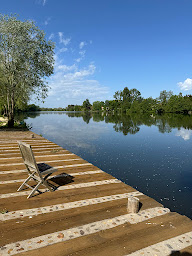 Photo n°12 de Domaine de Bugatel (le restaurant) à Sainte-Livrade-sur-Lot (Cave à vins)
