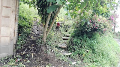 Photos of Vereda Barro Blanco, Granja La Astromelia