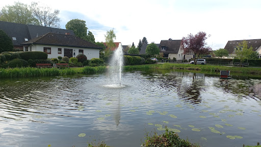 Fleischerteich - Visual