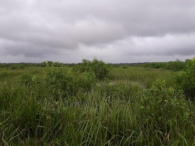 Photos of Kachua Ferry Terminal