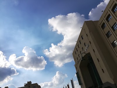 Photos of Kafr El Sheikh University