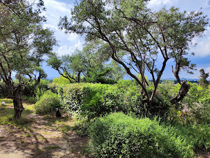 Photo n°27 de Les Restanques de Barbentane à Barbentane (Maison de vacances)