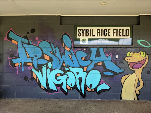 Ipswich Vigoro Association - Thumbnail