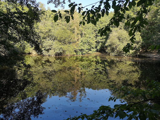 Offermanns Weiher - Visual