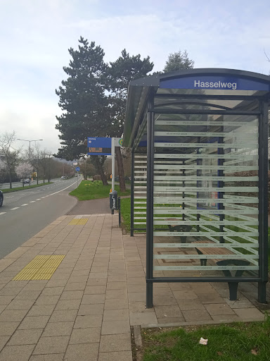 Hasselweg - Visual