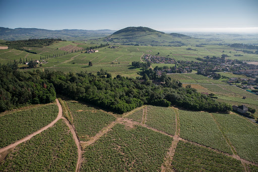 Photo de Espace des Brouilly à Saint-Lager (69220)