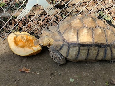 3 Palms Zoo & Education Center