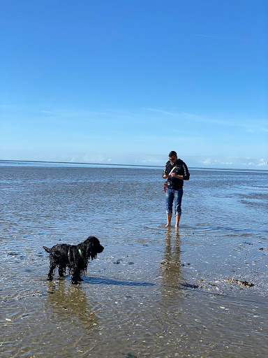 Hundestrand Cuxhaven Sahlenburg Gallery - Germany