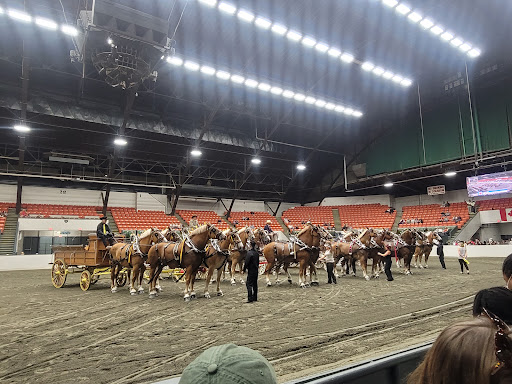 Eastern States Exposition - Thumbnail