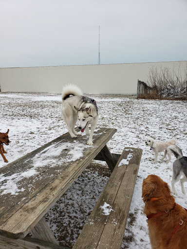 South Haven Dog Park - Thumbnail