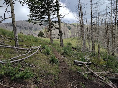 William G. Telfer Natural Area