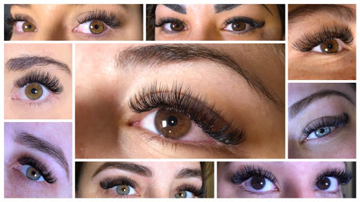 Lash Lab Texas - Visual