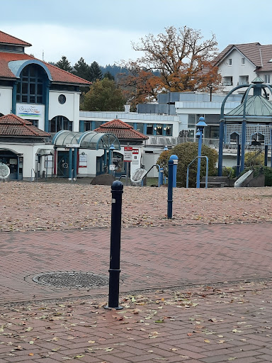 Jürgen Rischard - Visual