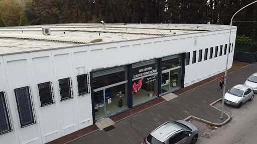 Carlo Mara Motors - Thumbnail