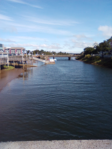 Bridge Tender - Visual