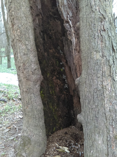Lundy Acres - Thumbnail