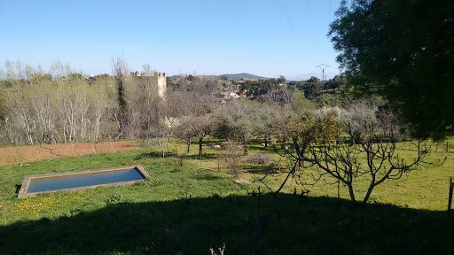 Grimaldo - Visual