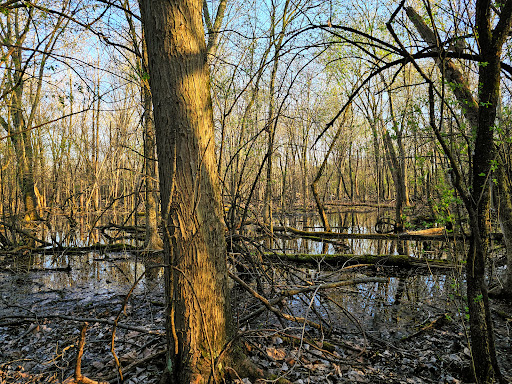 Forest Preserves of Cook County - Thumbnail