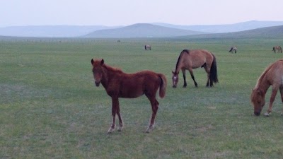 Photos of Elstei Ger Lodge