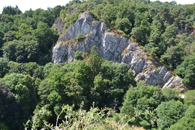 Château de Domfront