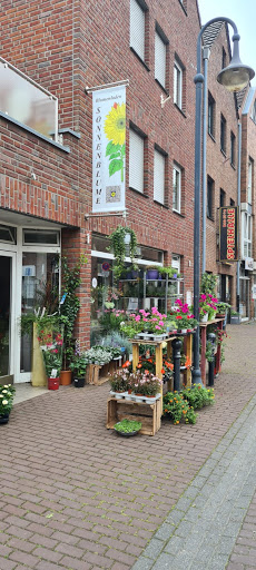 Blumenladen Sonnenblume Frank Kittan