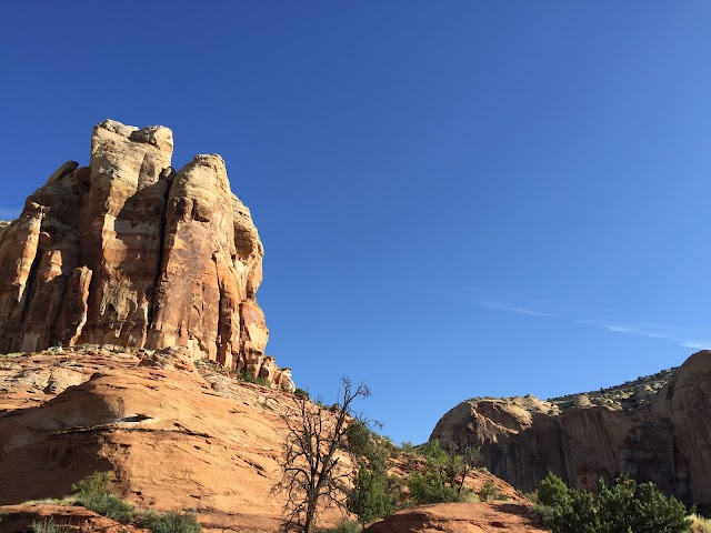 Lower Calf Creek Falls