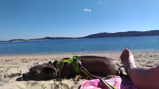 Plage Naturiste du Gros Pin