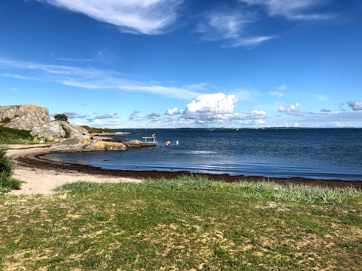 Halse Långe - Thumbnail