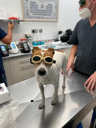 Clínica Veterinaria Plans Alcalans - Real